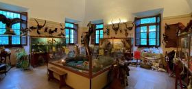 Museo Naturalistico Missionario della Certosa