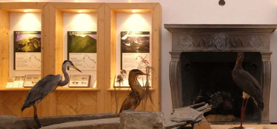 Museo di Storia Naturale della Lunigiana