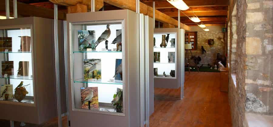 Museo Naturalistico di Ovaro