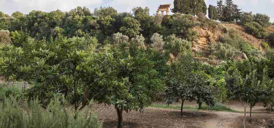 Giardino della Kolymbethra