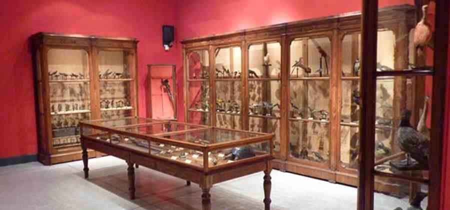 Museo di Storia Naturale di Cremona