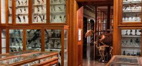 Museo di Zoologia ed Anatomia Comparata