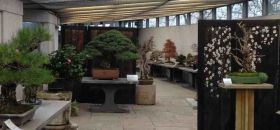 Crespi Bonsai Museum