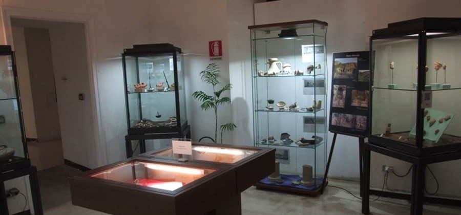 Museo Civico "S. Naselli"