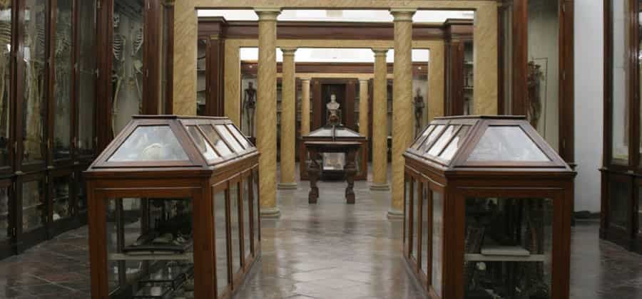 Museo di Anatomia di Modena