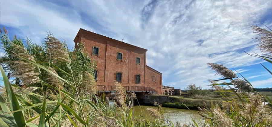 Museo della Casa Rossa Ximenes