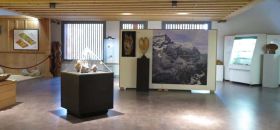 Museo Paleontologico "Rinaldo Zardini"