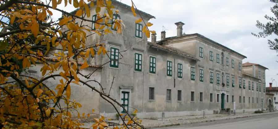 Palazzo Steffaneo Roncato