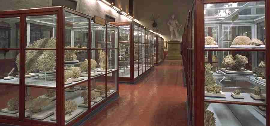 Museo di Storia Naturale "Vittorio Bottego"