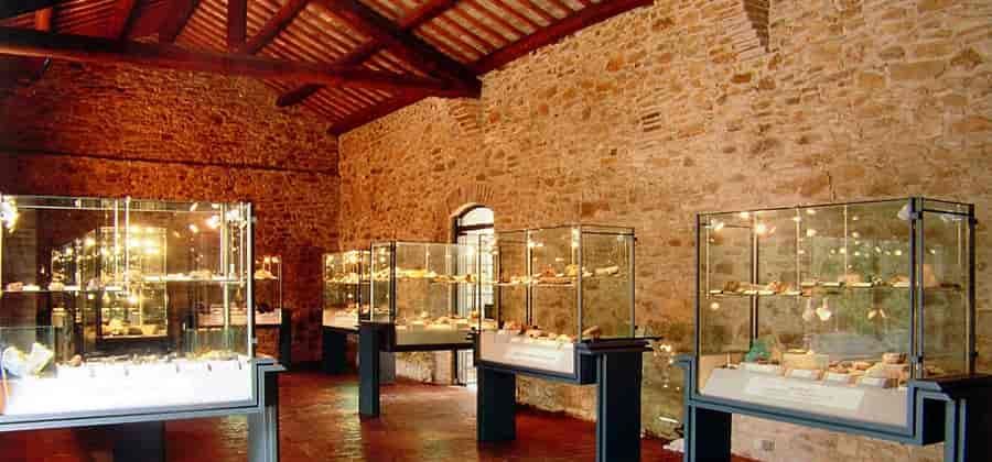 Museo Geo-paleontologico di Cava Bomba