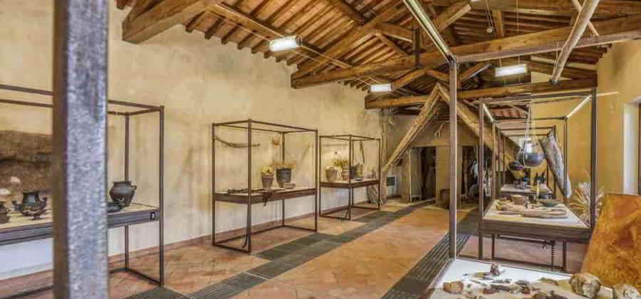 Museo della Preistoria della Tuscia