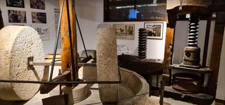 Museo dell’Olio d’Oliva di Cisano