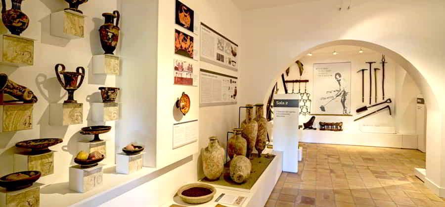 Museo della Vite e del Vino Librandi