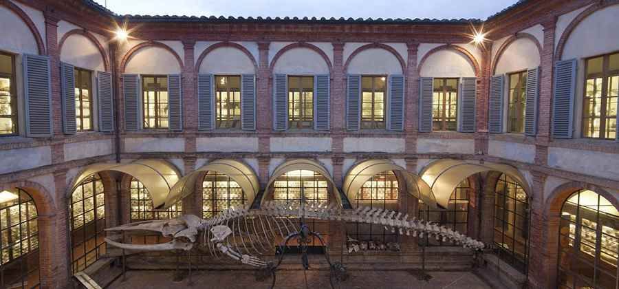 Musei dell'Accademia dei Fisiocritici