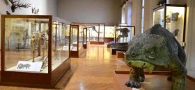 Museo di Paleontologia e Preistoria “Piero Leonardi”