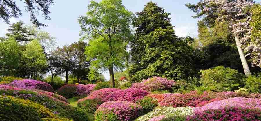 Giardino di Villa Carlotta