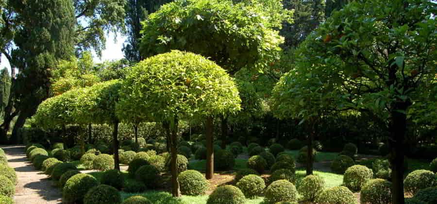 Giardini della Landriana