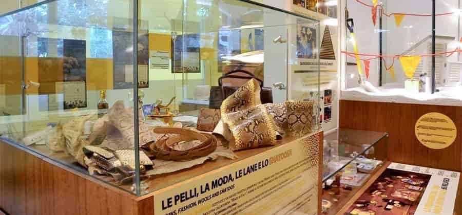 Museo Ambiente e Crimine "Danilo Mainardi"