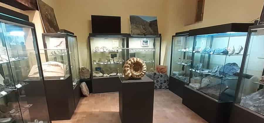 Museo di Scienze Naturali Fondazione Oppelide