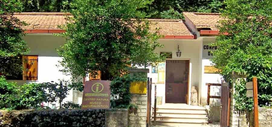 Museo Naturalistico della Foresta Umbra