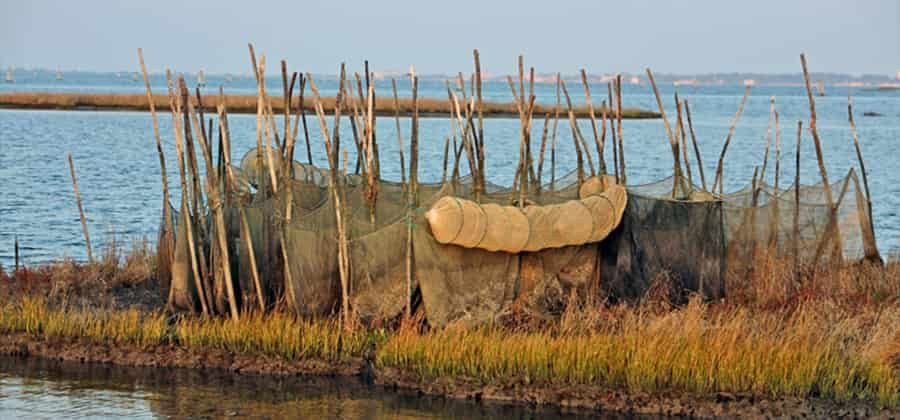 Museo del Territorio delle Valli e della Laguna di Venezia