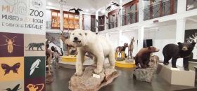 Museo di Zoologia e Casa delle Farfalle