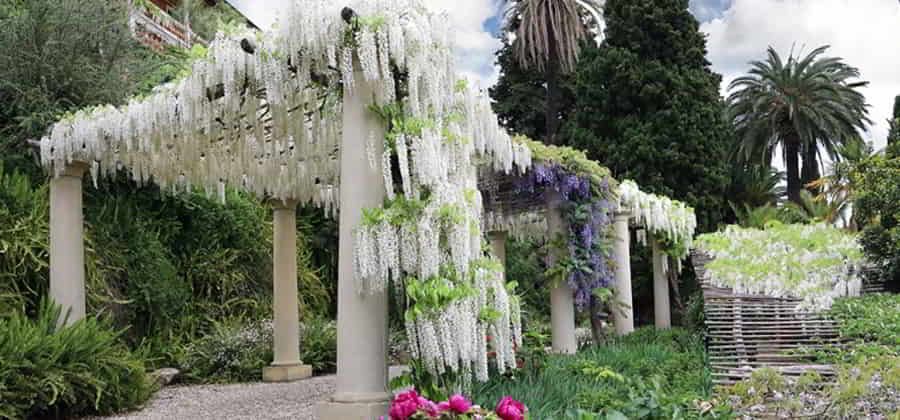 Giardini di Villa della Pergola