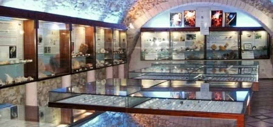 Museo Malacologico di Vieste