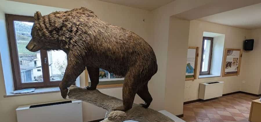 Museo dell’Orso Marsicano