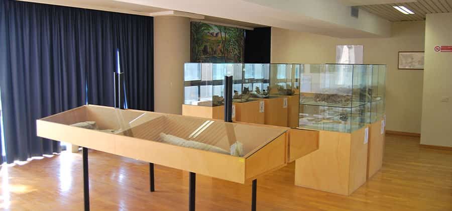 Museo della Fauna