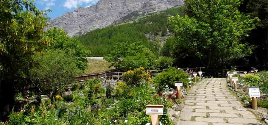 Giardino Botanico Alpino “Rezia”