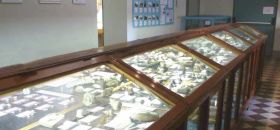 Museo dei Fossili dello Stirone