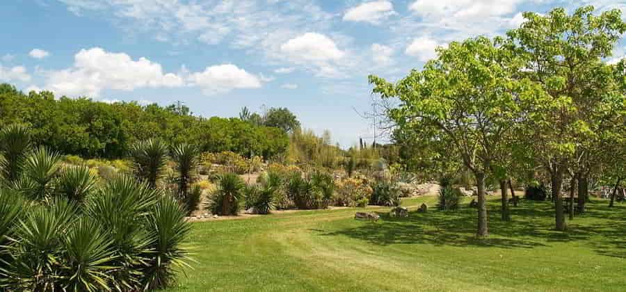 Orto Botanico “Angelo Rambelli”