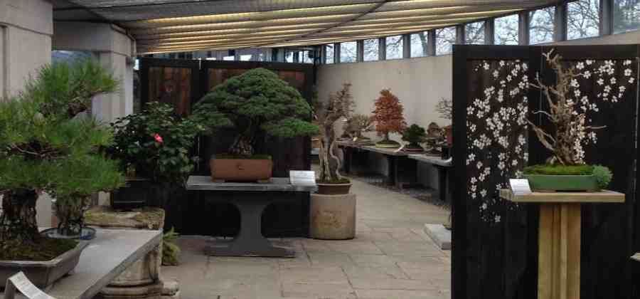 Crespi Bonsai Museum