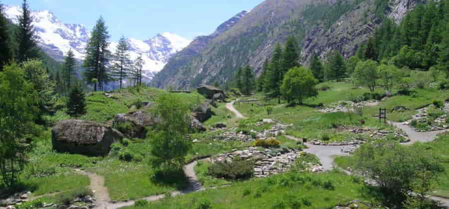 Giardino Alpino Paradisia