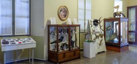 Museo di Storia Naturale a Palazzo Belgiojoso