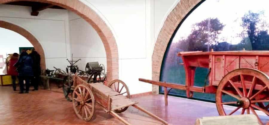 Museo della Vita e del Lavoro della Maremma Settentrionale