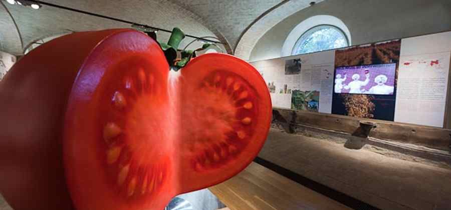 Museo del Pomodoro