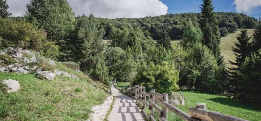 Orto Botanico di Novezzina