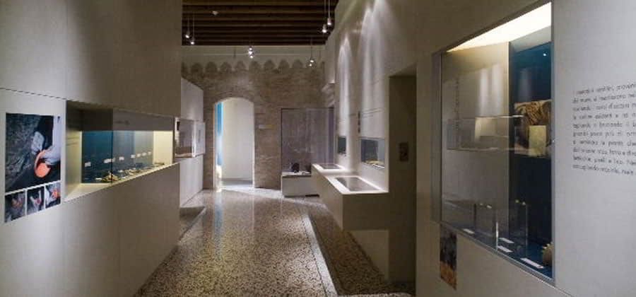 Museo Archeologico del Friuli Occidentale