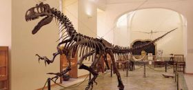 Museo di Paleontologia di Napoli