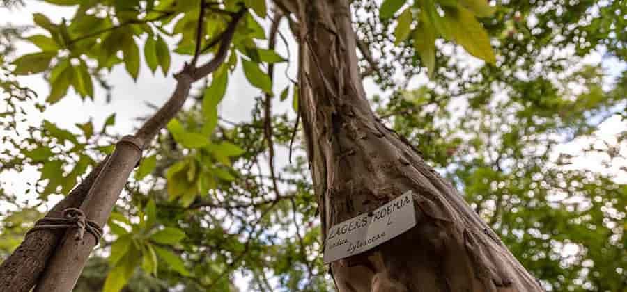 Orto Botanico di Urbino