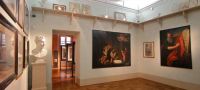 Museo Diotti