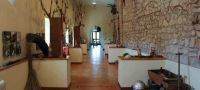 Museo del Giocattolo Ludus