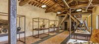 Museo della Preistoria della Tuscia