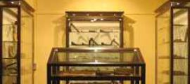 Museo del Legno
