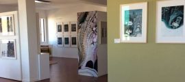 Museo Stepan Zavrel