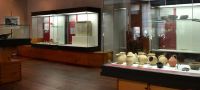 Museo Archeologico Cadorino