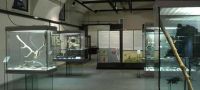 Museo di Preistoria e Protostoria