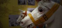 Museo Storico della Giostra e dello Spettacolo Popolare